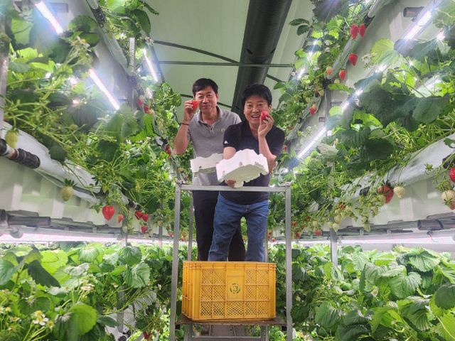 KakaoTalk_20250620_140923476