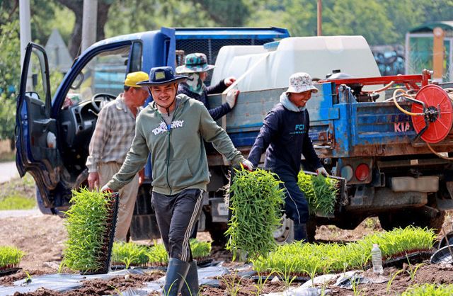 캄보디아 출신 계절근로자.