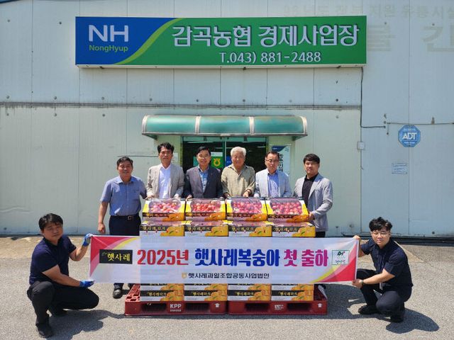 감곡농협 햇사레 출하