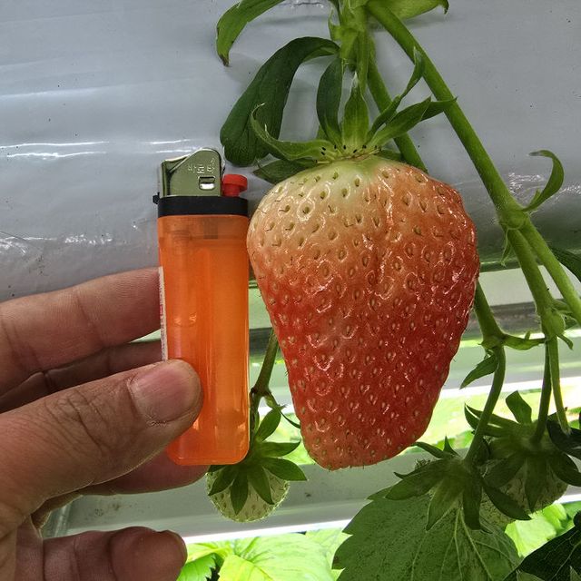 KakaoTalk_20250620_185627177_04