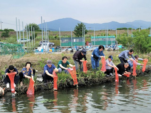 6.25(김해시 동남참게 등 치어 53만여 마리모습(2)