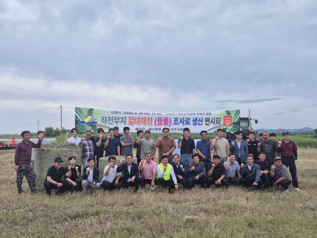 2.하천부지 갈대채취 조사료 생산 연시회 현장