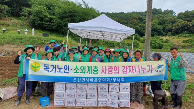 6.사랑의 감자 수확 활동 (1)