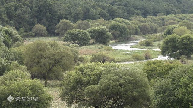 2024100901000511100020981