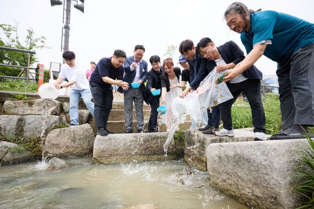 250630_[포토] “양주시, 회암천에 미꾸라지 방류”(1)