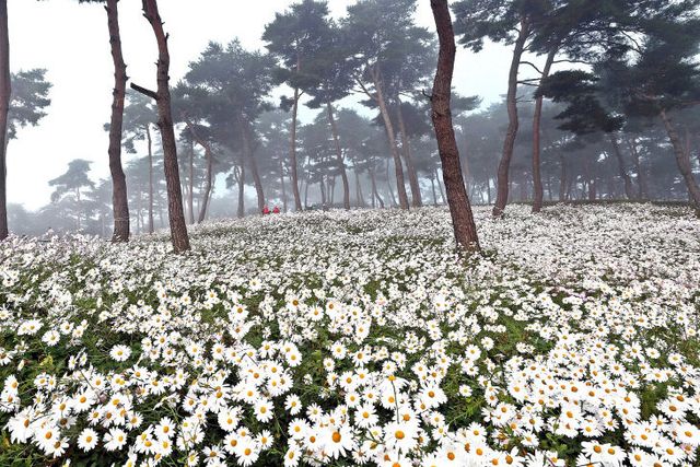 0627 정읍전북 인구감소지역 중 1위 (1)