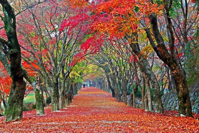 0627 정읍시, 생활인구전북 인구감소지역 중 1위 (3)