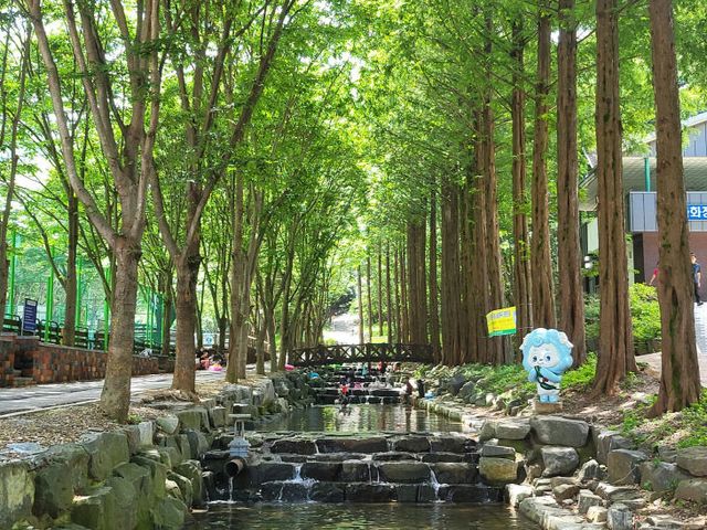 칠갑산자연휴양림