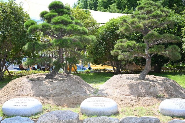 1-3.좌광천 지방등록 기념식수