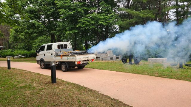 하절기 방역기동반 가동