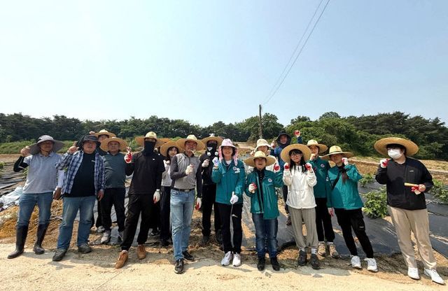 고창군청 환경위생과 농촌일손돕기