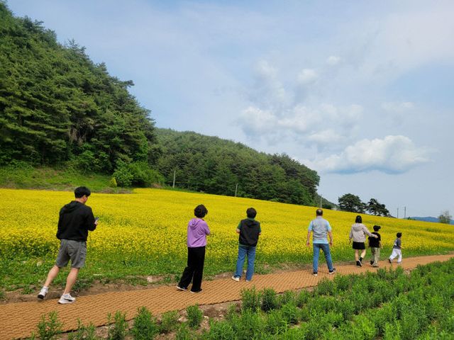 는 길에 꽃 구경하세요 (1)