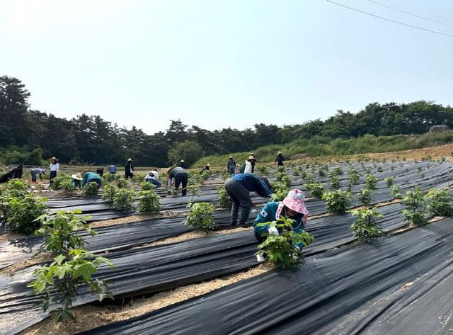 facebook_1748987329937_7335784553907399418_256560941773951