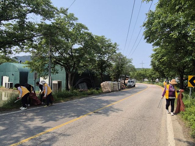 감물면 적십자봉사회, 주요 도로변 환경정화활동 실시