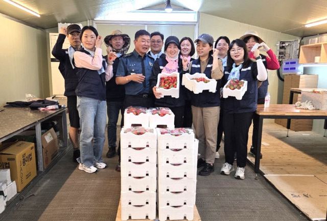 딸기 수확 사진