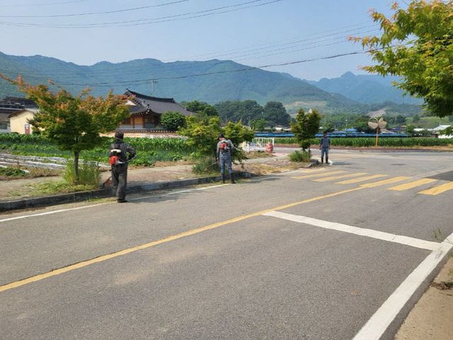 연풍면, 주요 도로변 및 마을안길 풀베기·환경정비 실시 (2)