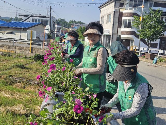 사리면, 사담리 일원에 꽃묘 2,500본