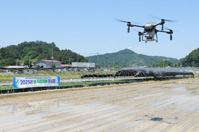 벼 직파재배 기술 연시회