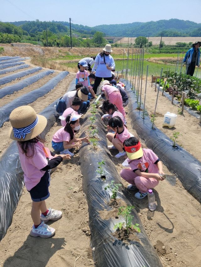 증평 정안 체험마을 사진 2