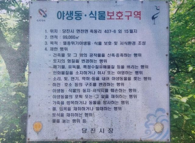 사본 -사본 -KakaoTalk_20250607_205429362