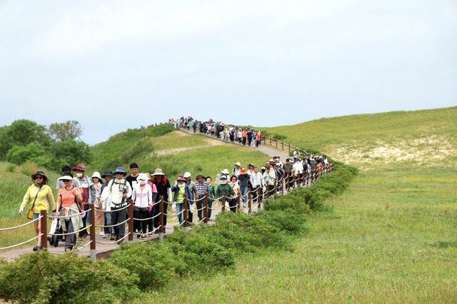 3. 반려동물 해변운동회 및 사구축제 성료 6(사구축제)