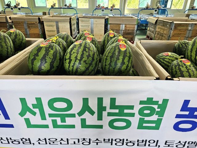 Resized_20250605_102231