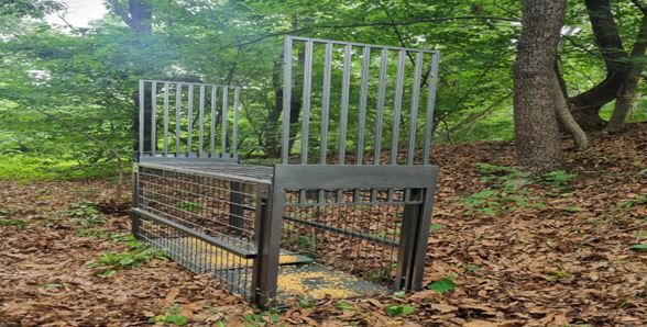 2. 파주시, 대성동 멧돼지 포획틀 설치로 주민 안전 확보 나서