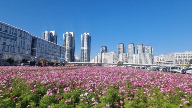 2024110701000540900019677