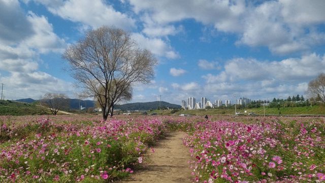 2024110701000540900019679