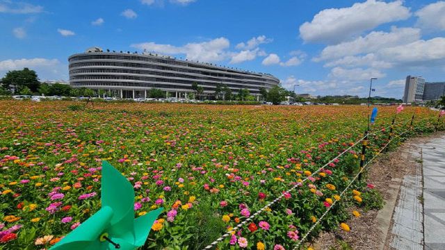 920_BBS_0000071180UYhSVgT0