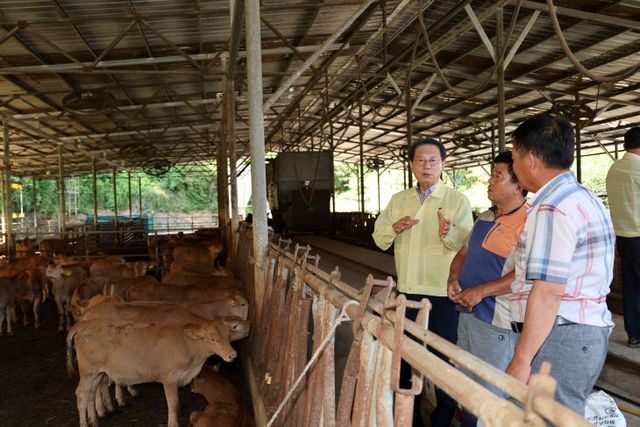 가축 상태 및 피해 현황을 점검하고 있다