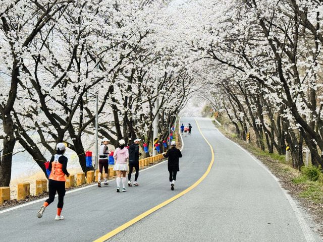 KakaoTalk_20250712_171728060