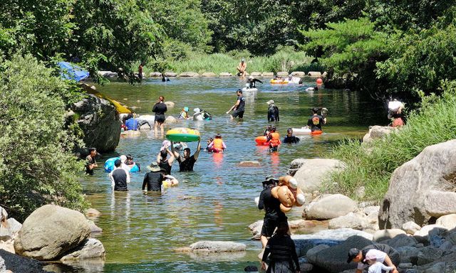 시원한 한때를 즐기고 있다. (4)