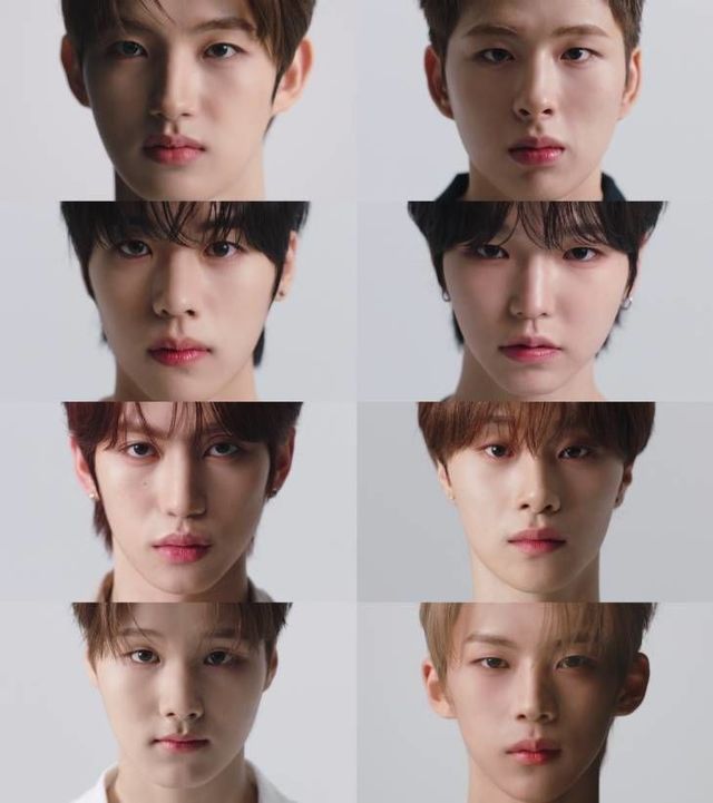 아이덴티티 사진