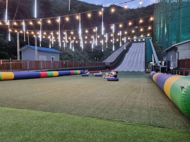 보도 1) 단양사계절썰매장(1)