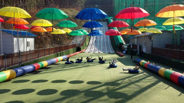 보도 1) 단양사계절썰매장(4)