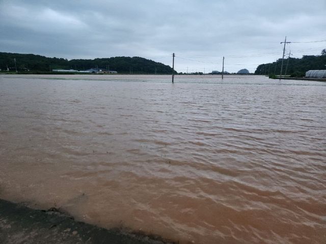 305mm의 극한호우를 기록한 서천군 농경지가 빗물에 잠겨있다