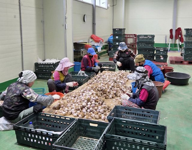 3. 조공법인 상반기 성과(250616) 3