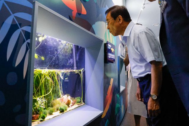 보도 1) 아쿠아리움을 관람하는 김문근 단양군수(2)