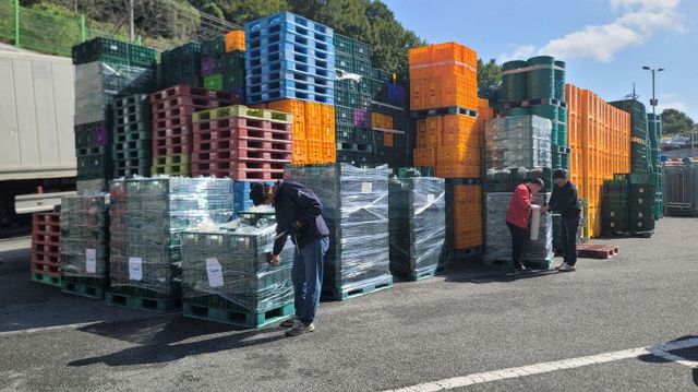 자료사진_광주김치 수출