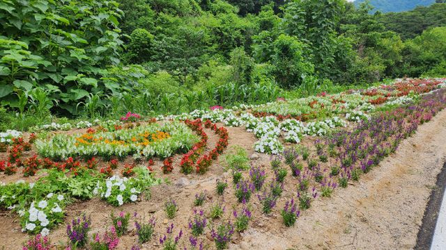 보도 3) 꽃정원 우수마을(마조리)