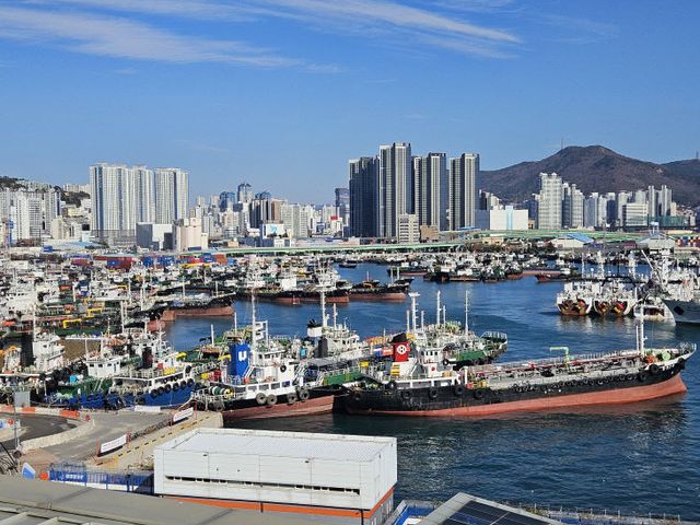 [250702 보도사진] 부산항 5물양장 전경