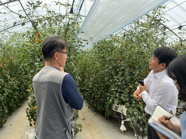 스마트팜 선도농가 현장컨설팅 사진