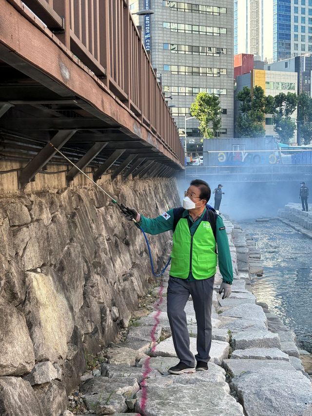 3주년 초량천 방역 (1)