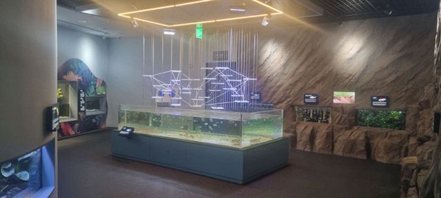 보도 1) 아트리움 아처피쉬 수조