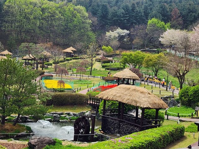 1. 용인특례시 농촌테마파크 여름철 전경