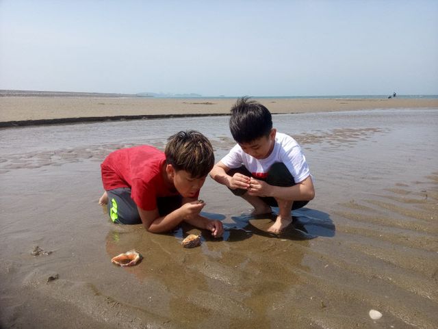 갯벌20230520_110040 (1)