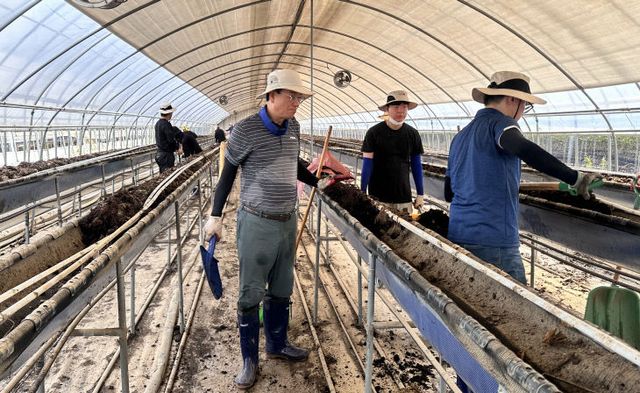 청양군 당진시 수해복구