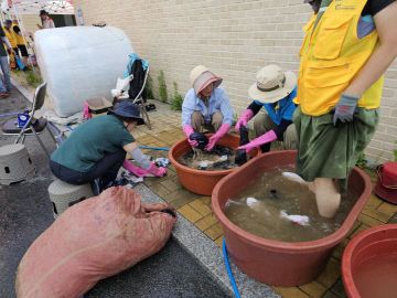수해 피해 가구에 세탁 서비스 지원 (1)