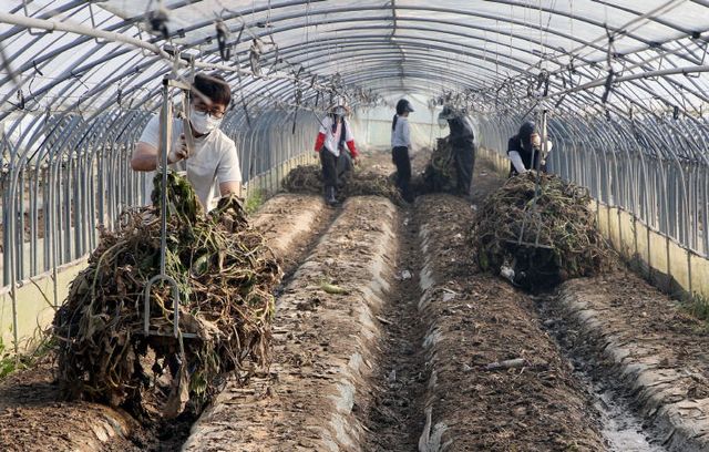 청주시 농업정책국·청주랜드관리사업소, 수해 농가 찾아
